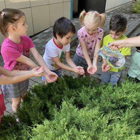 Капля жизни