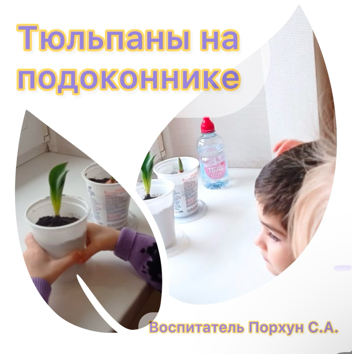 image 07 02 25 09 40 1