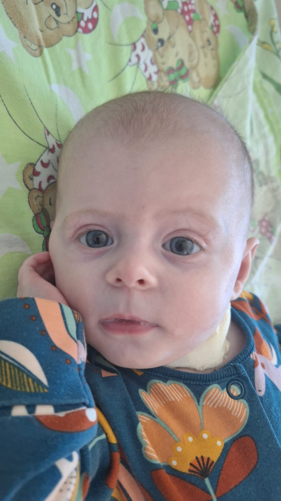 image 19 12 24 10 02